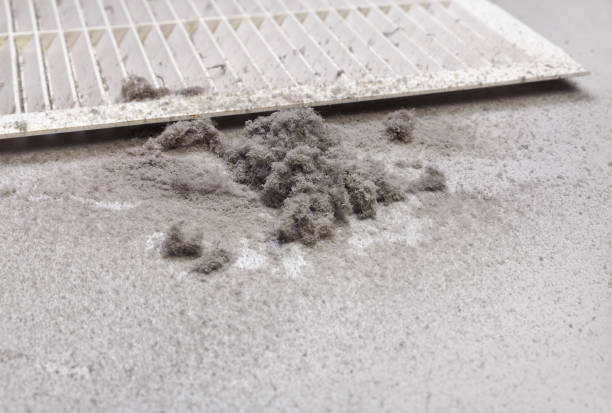Best Commercial Air Duct Cleaning  in Olive Branch, MS