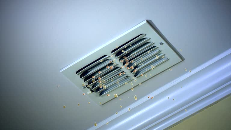 Best Affordable Air Duct Cleaning  in Olive Branch, MS