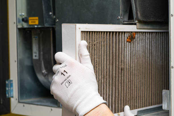 Best Affordable Duct Cleaning Services  in Olive Branch, MS