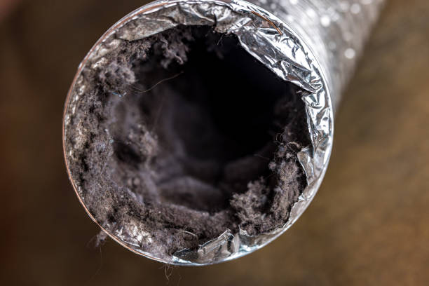 Best Affordable HVAC Duct Cleaning  in Olive Branch, MS